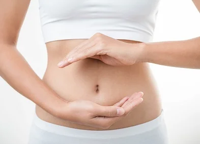 Représentation du microbiote intestinale